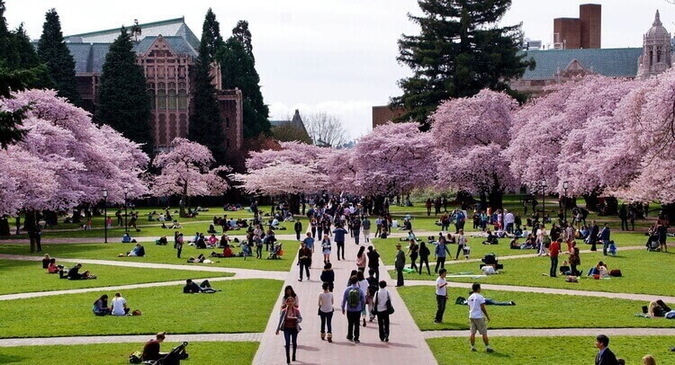 เรียนซัมเมอร์ต่างประเทศ Study abroad in University of Washington (UW) USA เรียนซัมเมอร์ต่างประเทศ Study abroad in University of Washington (UW) USA